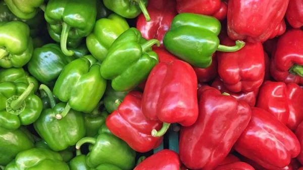 কোন রঙের ক্যাপসিকাম বেশি উপকারী?