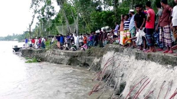 পানি কমতেই যমুনায় তীব্র ভাঙন, দিশেহারা মানুষ