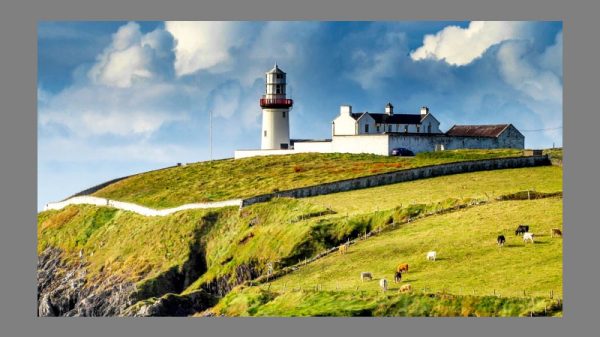 একটিও সাপ নেই আয়ারল্যান্ডে