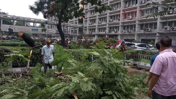 ঝড়ো বাতাসে সচিবালয়ের সামনে গাছ উপড়ে ৪ গাড়ি ক্ষতিগ্রস্ত