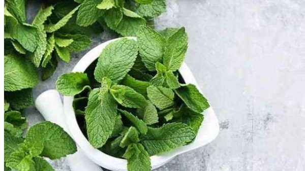 ত্বক পরিষ্কার রাখতে ৫ প্যাক