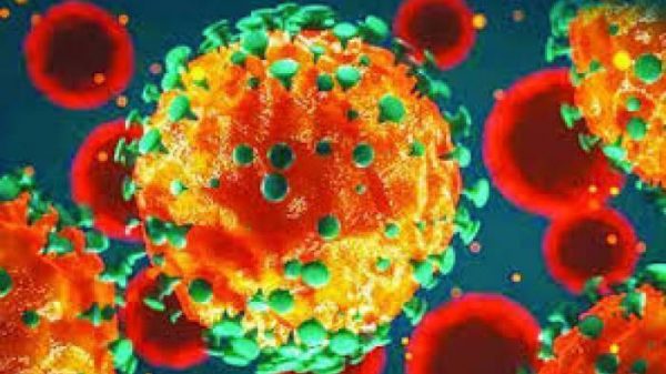 দেশে করোনায় আরও ২৪ মৃত্যু, নতুন শনাক্ত ১১৯৩