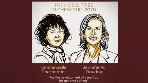 রসায়নে দুই বিজ্ঞানীর নোবেল জয়