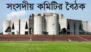 সংসদীয় কমিটির বৈঠকে আলু-পেঁয়াজ ক্রয় ক্ষমতায় রাখতে গুরুত্বারোপ