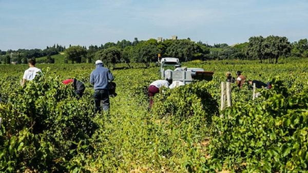 সিজনাল ভিসায় কালো তালিকাভূক্তরা ফের যেতে পারবেন ইতালি