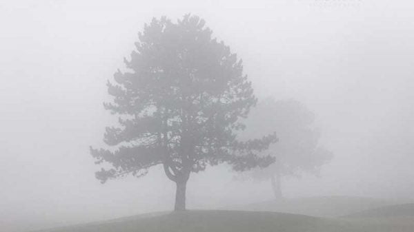 চলতি মাসে আসছে শৈত্যপ্রবাহ