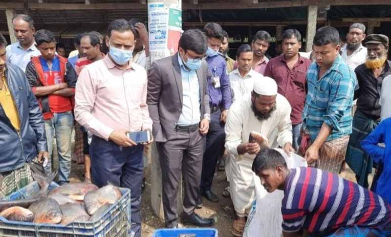 কেন্দুয়ায় ২৮১ কেজি নিষিদ্ধ পিরানহা মাছ জব্দ