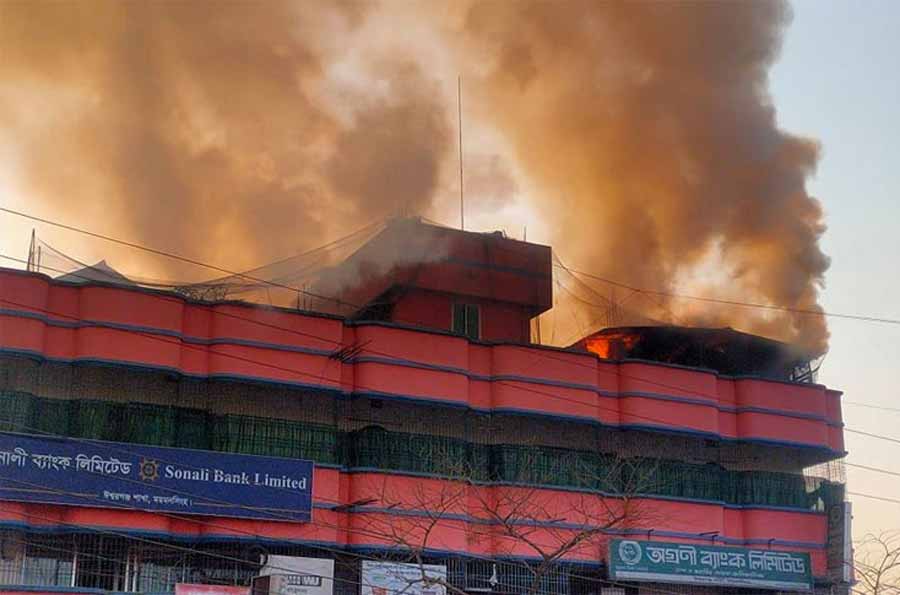 ঈশ্বরগঞ্জে চারতলায় আগুনে পুড়ল সখের কবুতর ও পাখি