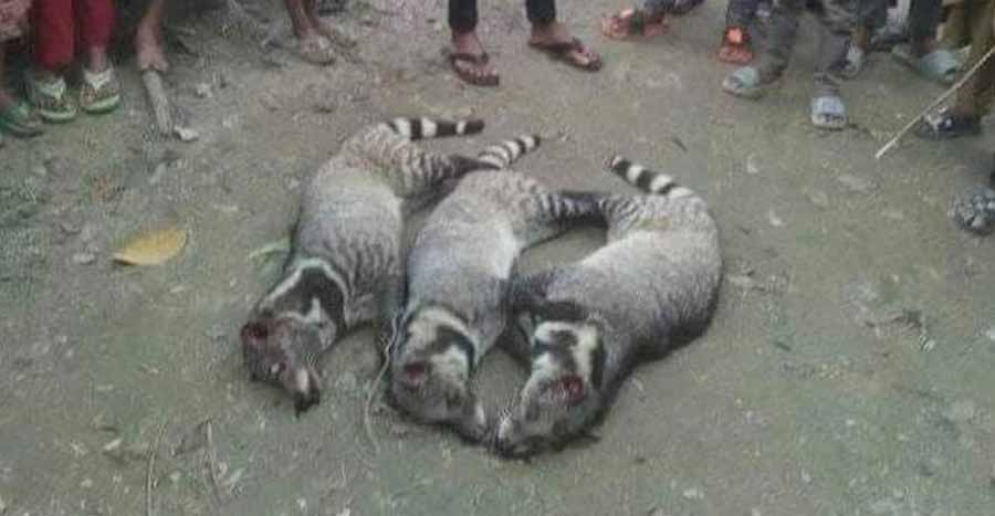 কিশোরগঞ্জে গন্ধ‌গোকুল হত্যার অ‌ভি‌যো‌গে থানায় জিডি