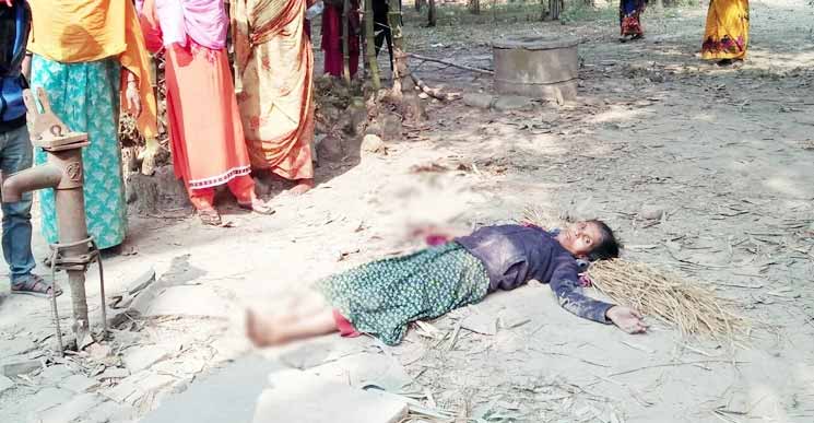 জামালপুরে পিটিয়ে ফুফুর হাত-পা ভেঙে দিল ভাতিজা