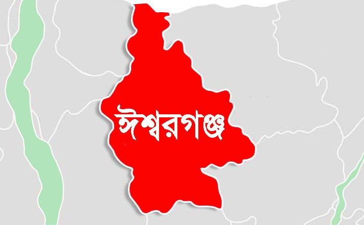 গৃহবধূ বাড়ি ফিরে দেখেন চার স্বজন অচেতন