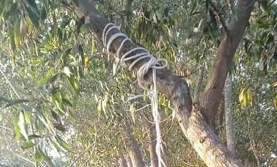 জামালপুরে নবম শ্রেণির ছাত্রীর ঝুলন্ত লাশ উদ্ধার