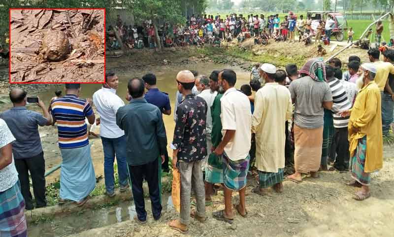 ঘাটাইলে পুকুর থেকে গ্রেনেড উদ্ধার