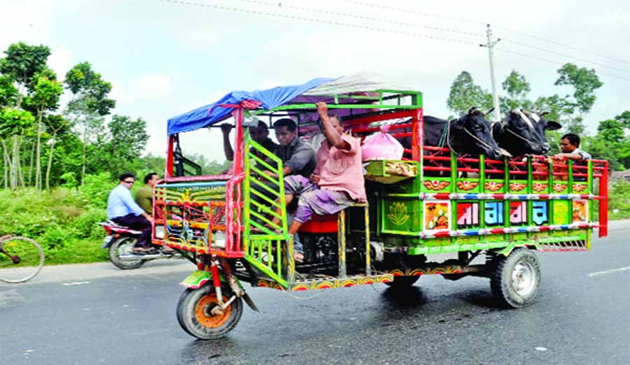 নালিতাবাড়ীতে ভটভটি উল্টে গরু ব্যবসায়ী নিহত