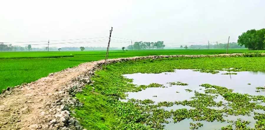 ময়মনসিংহে নিশ্চিহ্ন হচ্ছে নদী