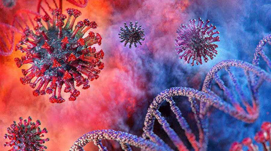 কিশোরগঞ্জে বাড়ছে করোনা সংক্রমণ, ৪৮ ঘন্টায়  শনাক্ত ২০