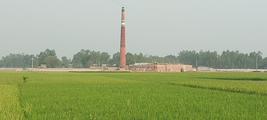 ইসলামপুরে ইটভাটার বিষাক্ত ধোঁয়ায় ফসল নষ্ট
