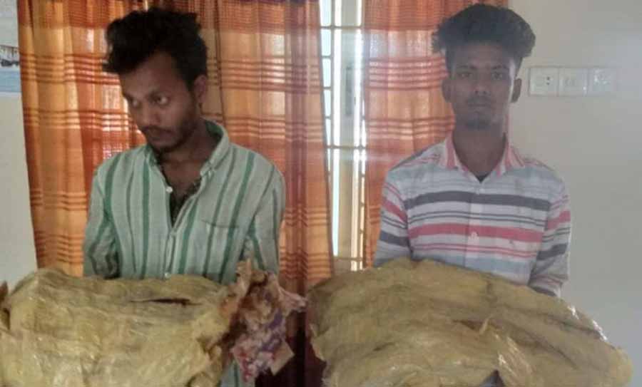 গফরগাঁওয়ে গাঁজাসহ দুই মাদক কারবারি আটক