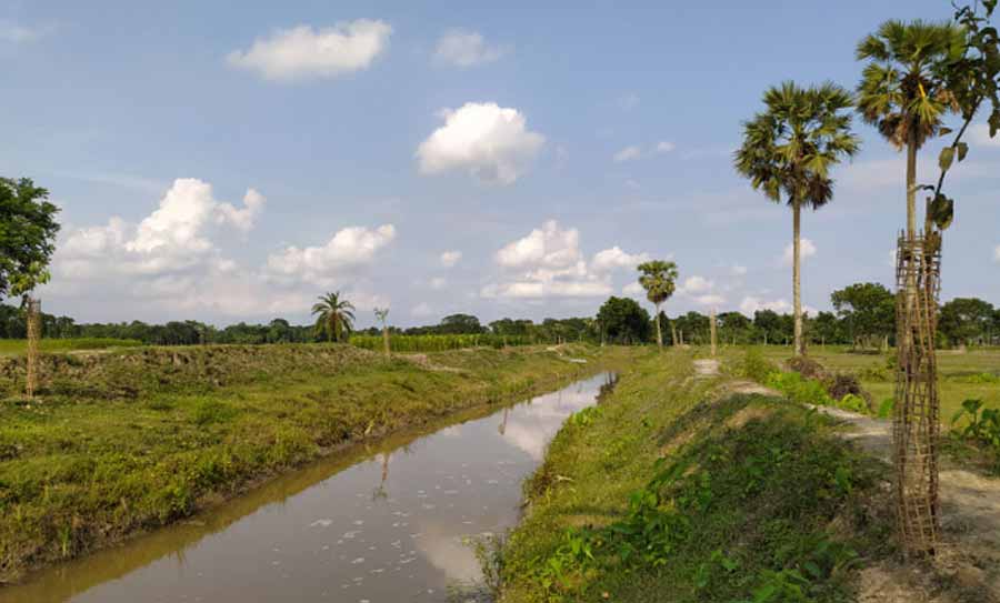 গফরগাঁওয়ে পাঁচ হাজার হেক্টর জমি চাষাবাদের আওতায়