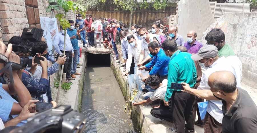 ময়মনসিংহ সিটি কর্পোরেশনে মশা থেকে রক্ষা পেতে ২ হাজার ব্যাঙ অবমুক্ত
