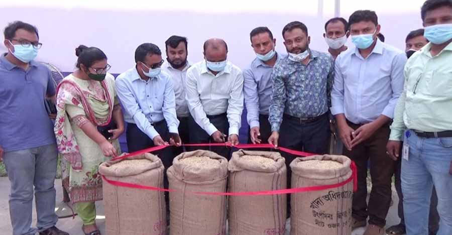 কিশোরগঞ্জে ধান কেনা শুরু হলেও নেই পর্যাপ্ত প্রস্তুতি