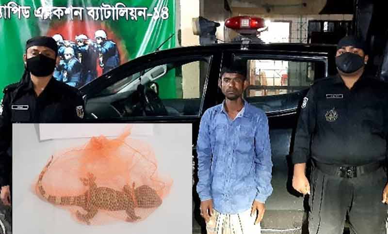 জামালপুরে ৩০ লাখ টাকা মূল্যের তক্ষক উদ্ধার, গ্রেপ্তার ১