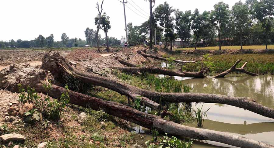 ফুলবাড়িয়ায় সড়ক প্রশস্তের নামে চলছে ধ্বংসযজ্ঞ!