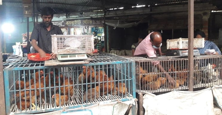 দেশি মুরগির দাম কেজিতে বেড়েছে ১০০ টাকা