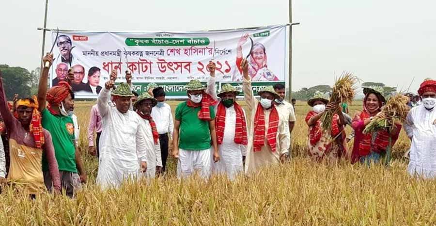 কৃষকের ধান কেটে দিলেন সমাজকল্যাণ প্রতিমন্ত্রী