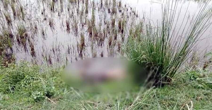 সড়কের পাশে মিলল নিখোঁজ অটোচালকের মরদেহ