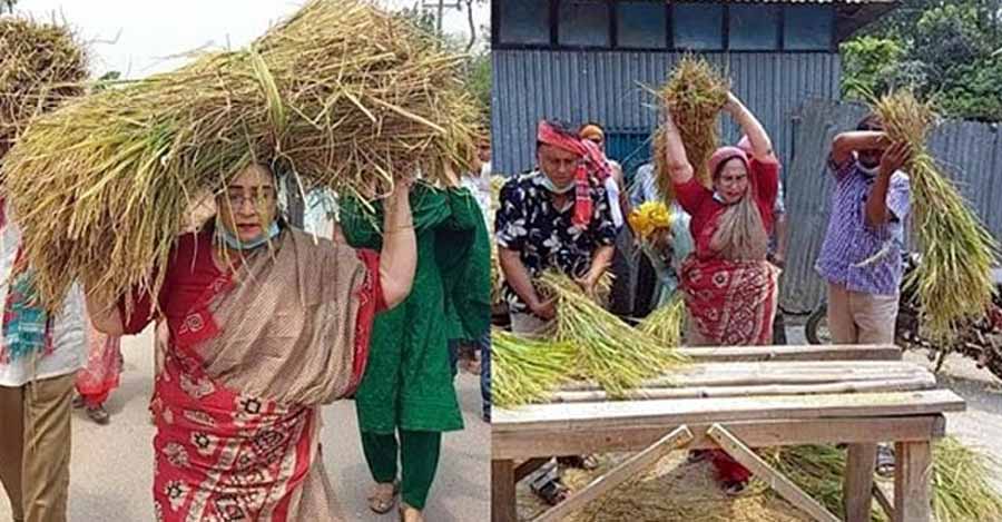 ধান কেটে মাথায় করে বাড়িতে নিয়ে মাড়াই করে দিলেন সংসদ সদস্য