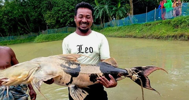 ডোবায় ধরা পড়ল ২৯ কেজির বাঘাইড়