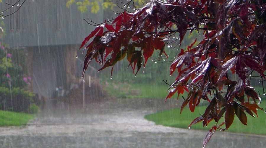 এক সপ্তাহের দাবদাহের পর কিশোরগঞ্জে স্বস্তির বৃষ্টি