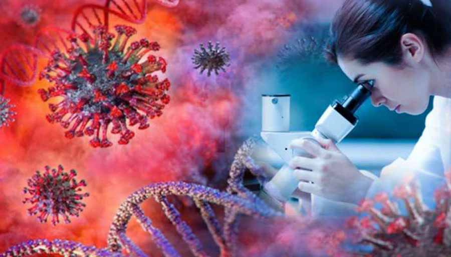 জামালপুরে করোনা সংক্রমণ ঊর্ধ্বমুখী, শনাক্তের হার ১৮.০৭