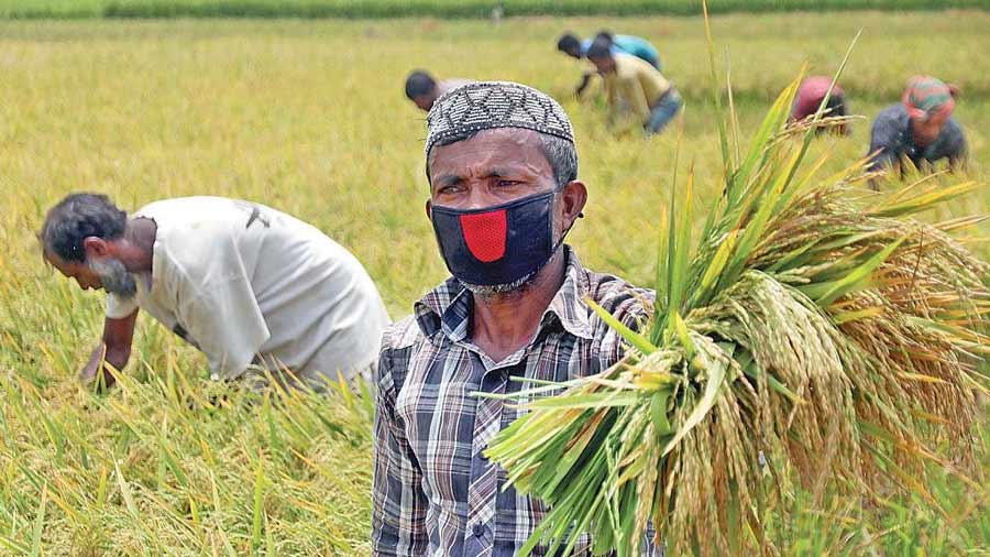 মোহনগঞ্জে ক্ষতিগ্রস্ত কৃষকের তালিকা তৈরিতে অনিয়মের অভিযোগ