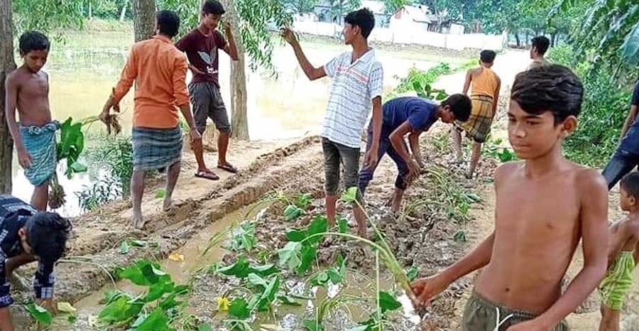 ধোবাউড়ায় রাস্তায় কচুগাছ লাগিয়ে প্রতিবাদ