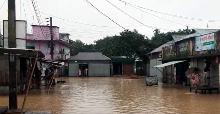 শেরপুরে বাঁধ ভেঙে নিম্নাঞ্চল প্লাবিত, ডুবেছে অর্ধশতাধিক মাছের ঘের