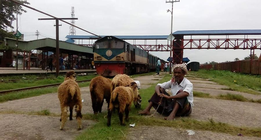 বিশেষ ট্রেনে ঢাকায় আসবে কোরবানির পশু
