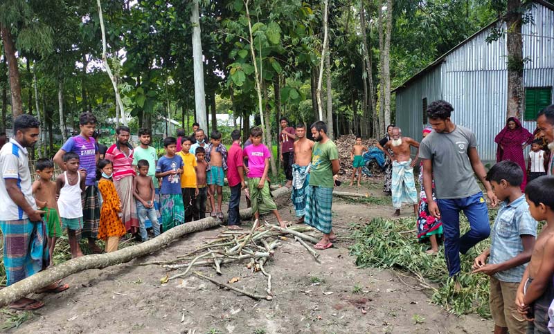 শ্রীবরদীতে গাছচাপায় শিশুর মৃত্যু