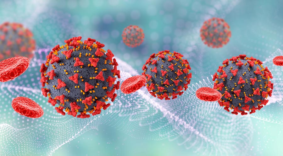 টাঙ্গাইলে করোনা ও উপসর্গ নিয়ে ২৪ ঘণ্টায় আরও ১১ জনের মৃত্যু