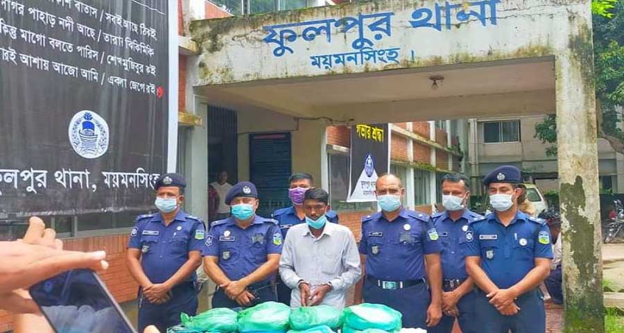 ফুলপুরে ১১ কেজি গাঁজাসহ মাদক কারবারি গ্রেপ্তার