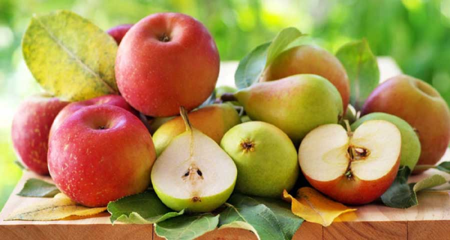 গলায় আপেলের টুকরা আটকে শিশুর মৃত্যু