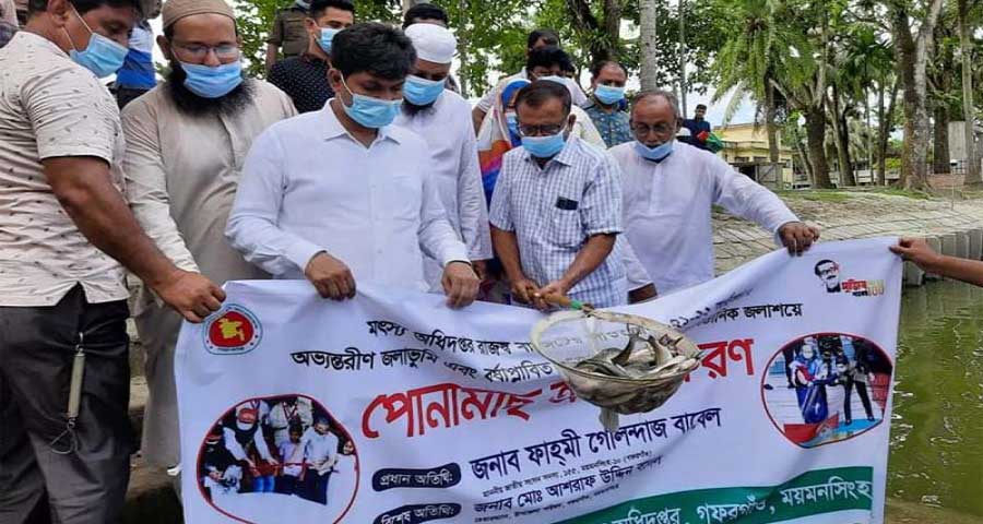 গফরগাঁওয়ে ৫১৮ কেজি মাছের পোনা অবমুক্ত
