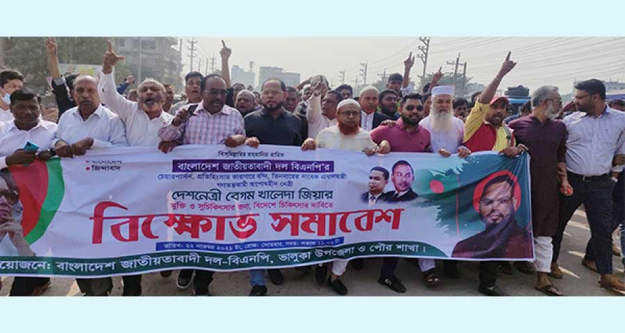 ভালুকায় বিএনপির বিক্ষোভ মিছিল ও সমাবেশ