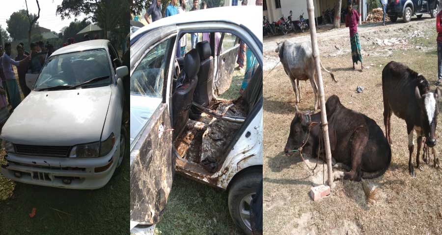 তারাকান্দায় তিনটি চোরাই গরুসহ প্রাইভেটকার আটক!