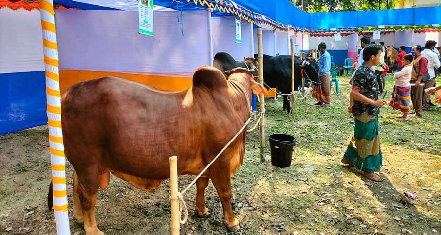 কিশোরগঞ্জে দিনব্যাপী প্রাণিসম্পদ প্রদর্শনী