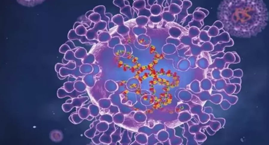 মাঙ্কিপক্স আক্রান্ত সন্দেহে তুরস্কের নাগরিক ঢাকার হাসপাতালে ভর্তি