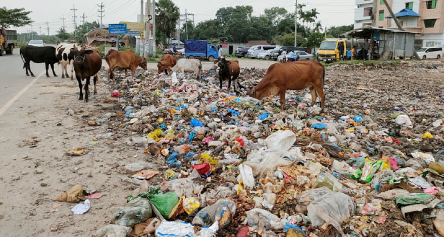 ত্রিশালে মহাসড়ক ঘেঁষে ময়লার ভাগাড়, ভোগান্তি চরমে