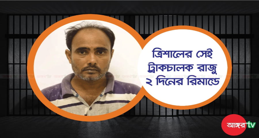 ঘাতক সেই ট্রাকচালক ২ দিনের রিমান্ডে
