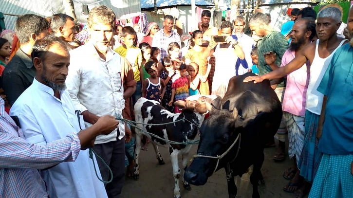 বিয়ের আগেই কনের বাড়িতে যৌতুকের গরু আনতে গিয়ে আটক বরের বাবা